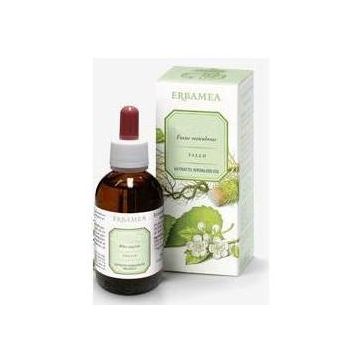Artiglio del diavolo estratto idroalcolico 50 ml