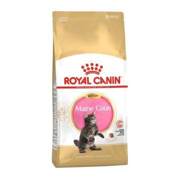 Royal Canin Gatto Fbn Maine Coon Kitten 4 Kg