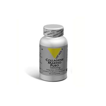 Vital pl.collagene marino  stv
