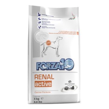 F10act renal dogalladu pesce dry 4kg 1pz