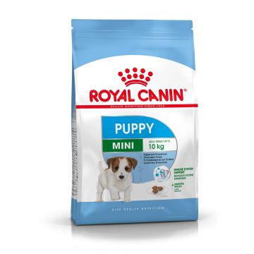 Royal Canin Cane Mini Puppy 800 Gr