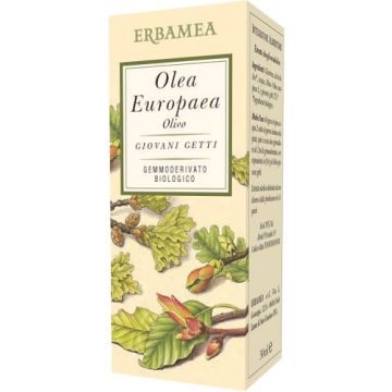 Olea europea olivo bio 50 ml