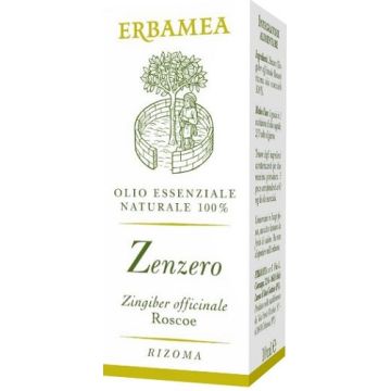Zenzero 10 ml