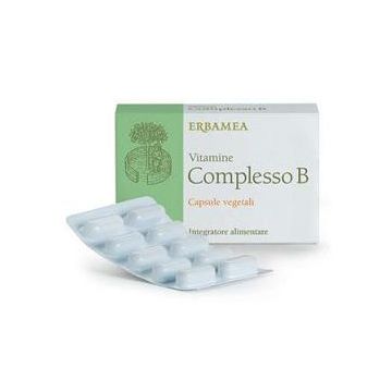 Vitamine Compl.b 24 Capsule Ebm