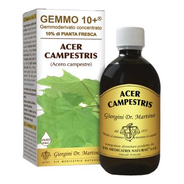 Gemmo 10+ acero campestre 500 ml liquido analcolico