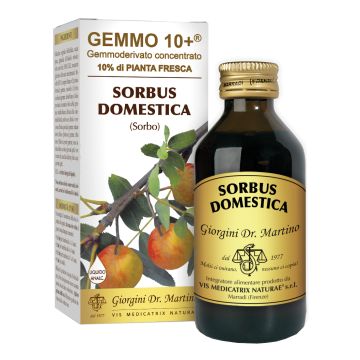 Sorbo analco gemmo 10+ 100 ml