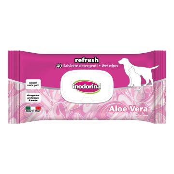 Salviette Aloe Vera Inodorina 40 Pezzi