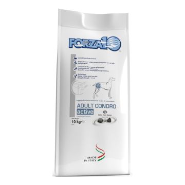 Forza 10 active condro dogall adult pesce dry 10 kg Forza 10 active condro dogall adult pesce dry 10 kg