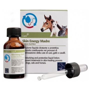 Skin Energy Madre Con Croton 20 Ml