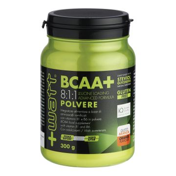 Bcaa+ 811 polvere arancia 300 g