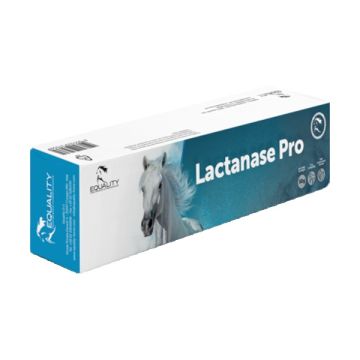 Lactanase pro siringa pasta orale per cavalli 50 g