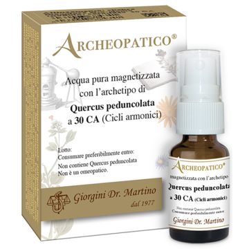Quercus peduncolata 30ca svs