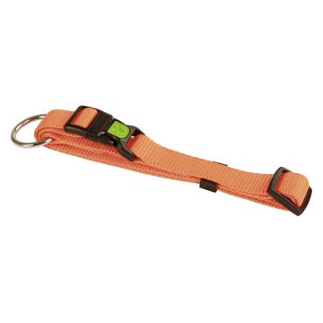 Kerbl Cane Collare Miami Regolabile 20 Mm 40-55 Cm Arancione