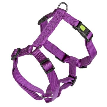 Kerbl Cane Pettorina Miami Modello H 75-100 Cm Viola