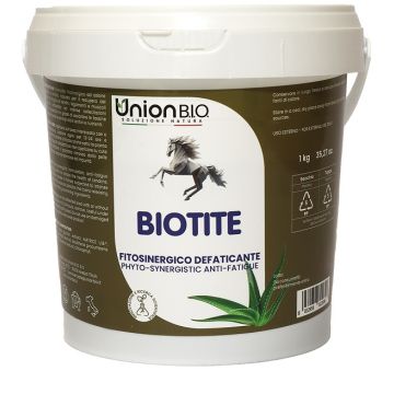 Biotite 1 kg