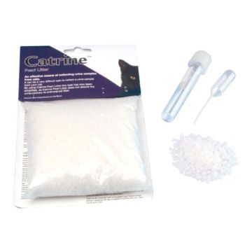 Test Esame Urine Catrine Kruse