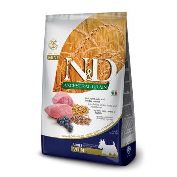 N&d ancestral cereals canine lamb & blueberry adult mini 2,5 kg