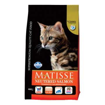 Matisse neutered salmon 10 kg