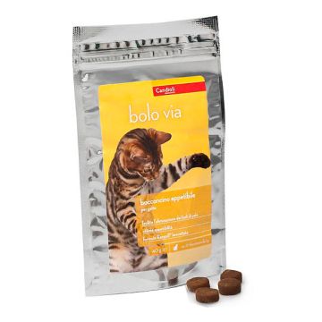 Bolo Via Sacchetto 40 Gr