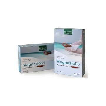 Magnesio b6 20ab 15ml n-s