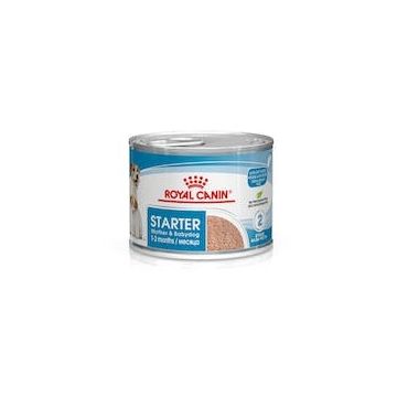 Royal Canin Cane Starter Mousse Mother & Baby Dog 195 Gr