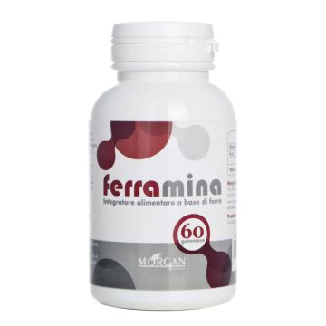 Ferramina ferro/vit c 60car go