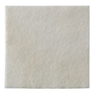 Biatain alginate 10x10x10 3710