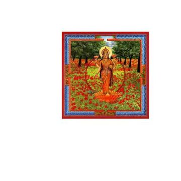 Neesha-ma gocce 30 ml Neesha-ma gocce 30 ml