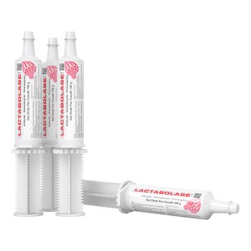 Lactabolase gel orale siringa 100 g Lactabolase gel orale siringa 100 g
