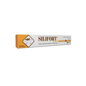Silifort Pasta 30 Gr