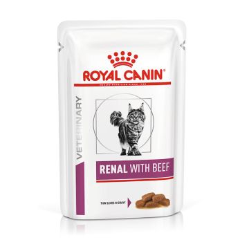 Royal Canin Gatto Renal Manzo Busta In Salsa Cf. (12X85) Gr
