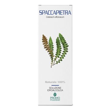 Spaccapietra sommita' taglio tisana 100 g