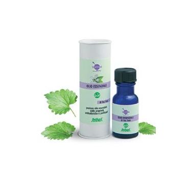 Tea tree olio essenziale bio 15 ml