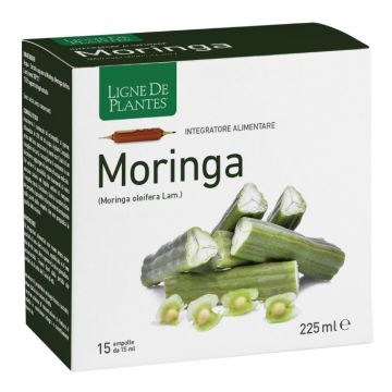 Moringa 15 ampolle bevibili da 15 ml
