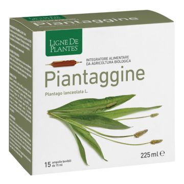 Piantaggine 15 ampolle bevibili 15 ml Piantaggine 15 ampolle bevibili 15 ml