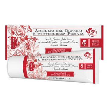 I rimedi di helan artiglio diavolo wintergreen pomata 75 ml