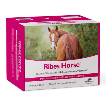 Ribes horse 30 buste Ribes horse 30 buste