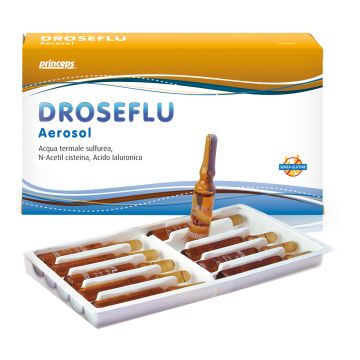 Fiale aerosol droseflu 10 fiale