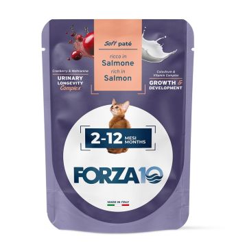Forza 10 maintenance cat kitten 2-12 mesi salmone wet pate' 80 g
