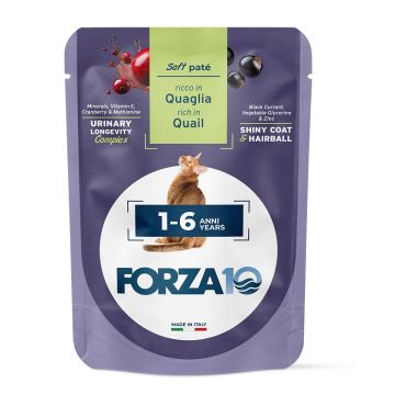Forza 10 maintenance cat adult 1-6 anni anni quaglia wet pate' 80 g