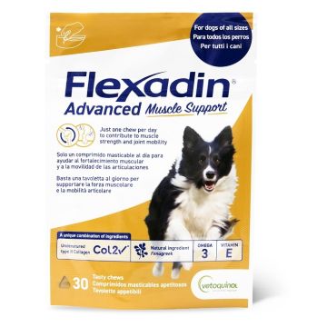 Flexadin advanced muscle support 30 tavolette appetibili