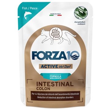 Forza 10 active cat intestinal colon pesce wet pate' 80 g