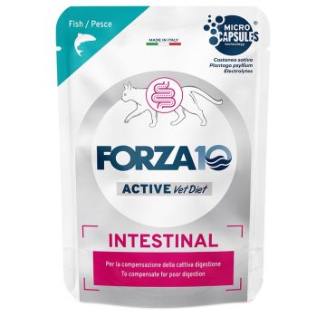 Forza 10 active cat intestinal pesce wet pate' 80 g