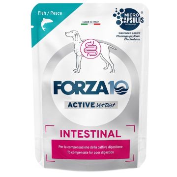 Forza 10 active dog intestinal pesce wet pate' 100 g
