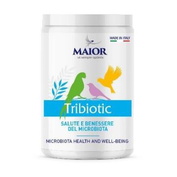 Maior tribiotic 1000 g