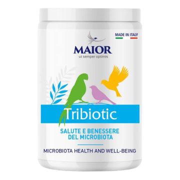 Maior tribiotic 250 g Maior tribiotic 250 g
