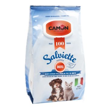 Camon Salviette Detergenti 100 Pezzi Ambra