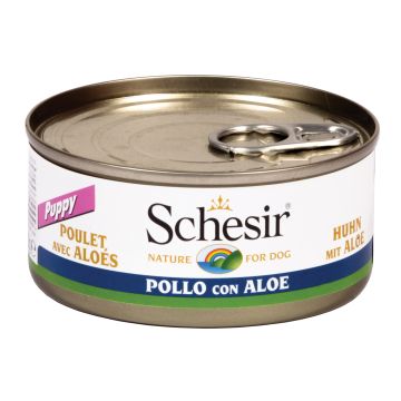 Schesir Cane Lattina In Jelly Puppy Pollo & Aloe 150 Gr