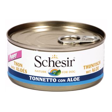 Schesir Cane Lattina In Jelly Puppy Tonnetto & Aloe 150 Gr