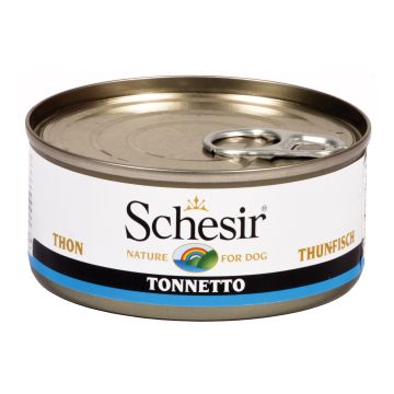 Schesir Cane Lattina In Jelly Adulto Tonnetto 150 Gr